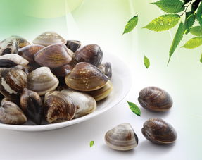 唆唆美餐飲 產(chǎn)品 產(chǎn)品介紹 最新產(chǎn)品信息