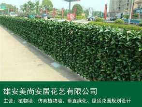 仿真植物墻 雄安美尚安居景觀工程的設計、施工與價格指南